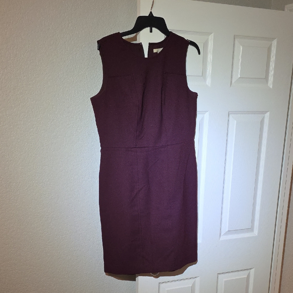 Banana Republic Sleeveless Plum Mini Dress